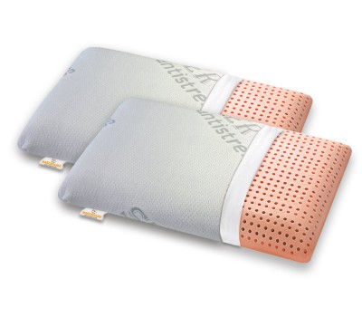 Washable Pair of Memory pillows model BIO CLEAN cover with zip SILVER ANTISTRESS - Marcapiuma