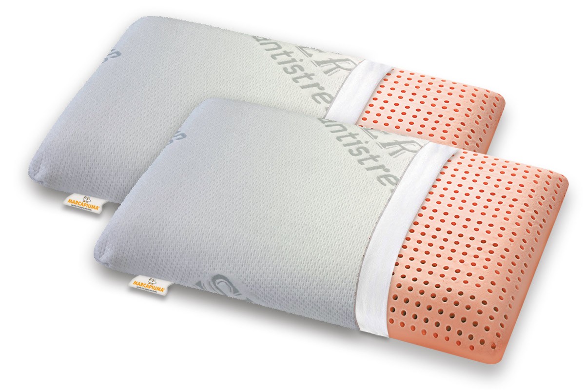 Washable Pair of Memory pillows model BIO CLEAN cover with zip SILVER ANTISTRESS - Marcapiuma