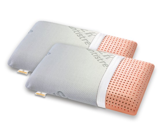 Washable Pair of Memory pillows model BIO CLEAN cover with zip SILVER ANTISTRESS - Marcapiuma