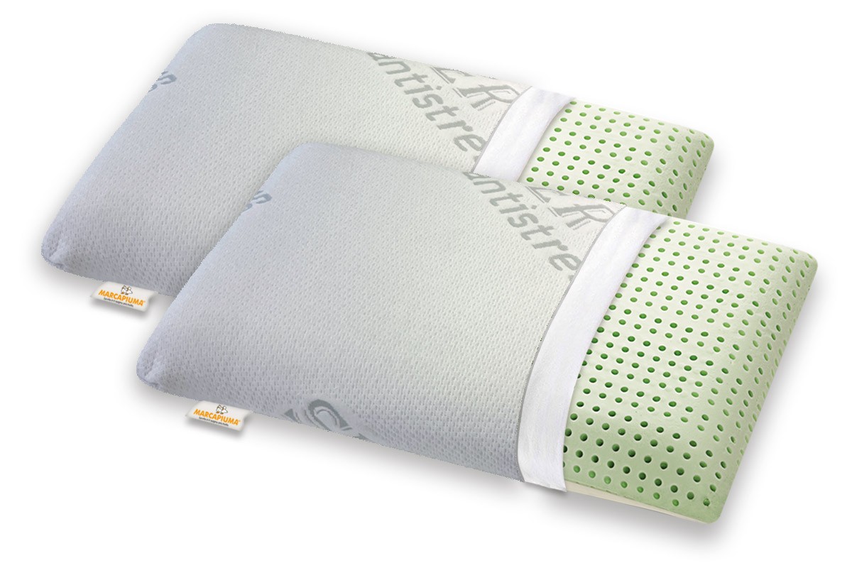 Pair of Memory Pillows Model Bio Double Aloe Silver Antistress Cover with Zipper - Marcapiuma