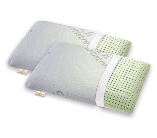Pair of Memory Pillows Model Bio Double Aloe Silver Antistress Cover with Zipper - Marcapiuma